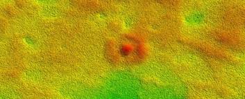 A giant ‘bullseye’ on the Nullarbor Plain was created by ancient sea life image